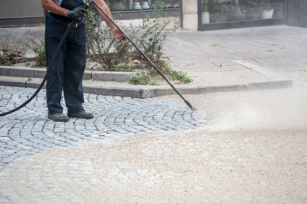 Best Sidewalk and Walkway Cleaning  in Dixon Lane Meadow Creek, CA
